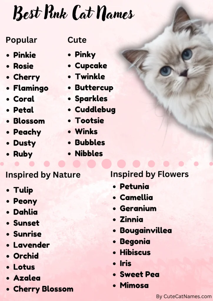 Best Pink Cat Names