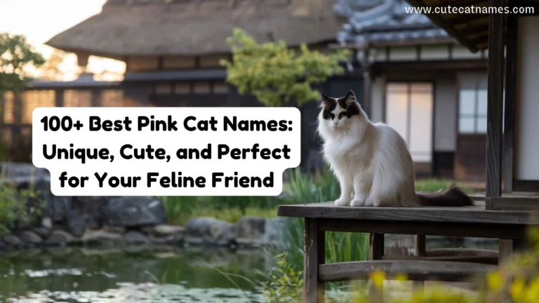 100+ Best Pink Cat Names: Unique, Cute, and Perfect for Your Feline Friend