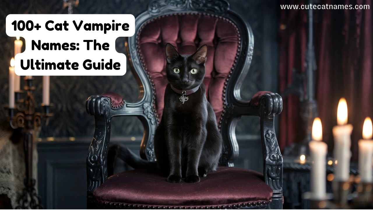 Cat Vampire Names