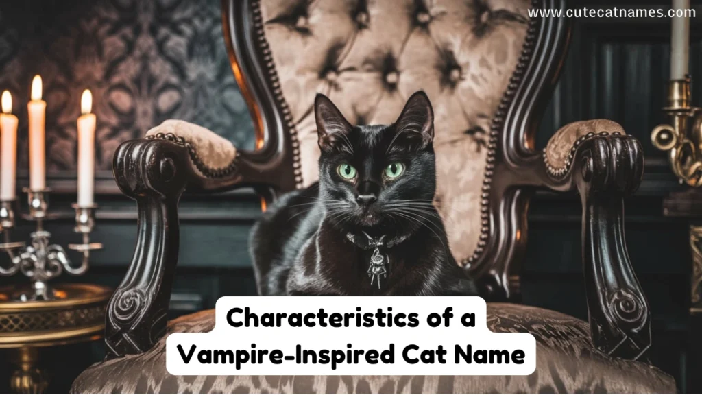 Vampire Inspired Cat Name