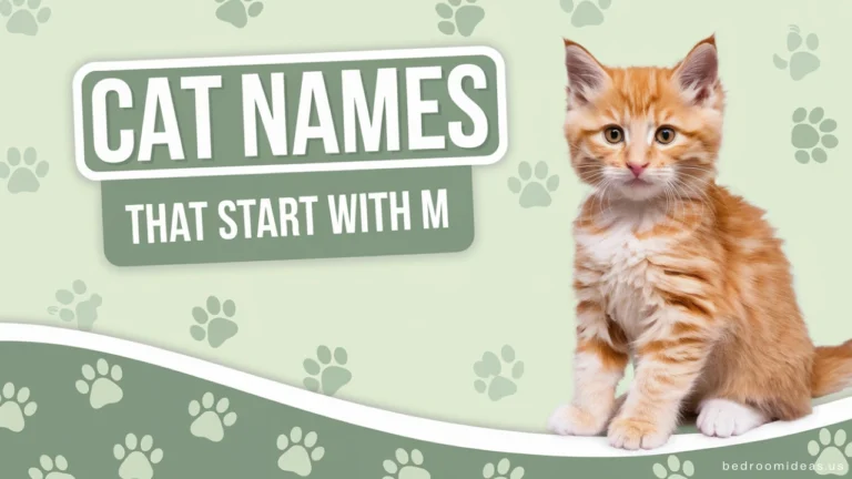 Cat Names Start with M