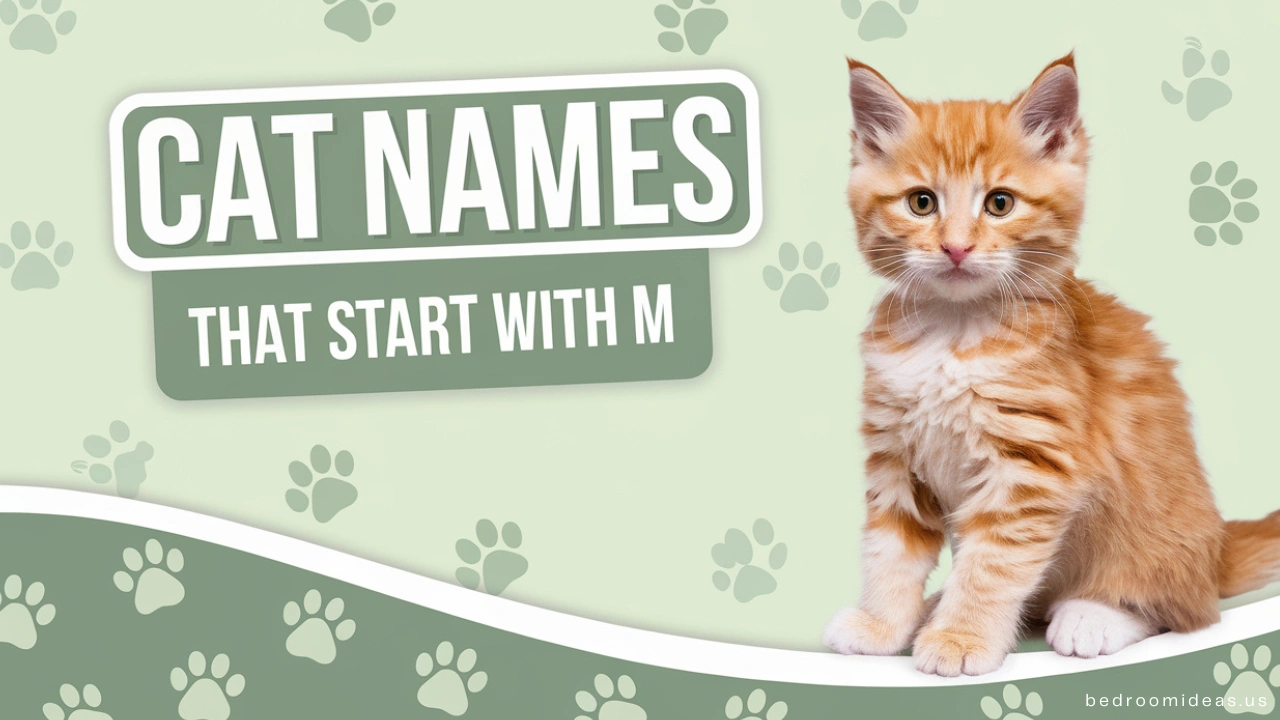 Cat Names Start with M