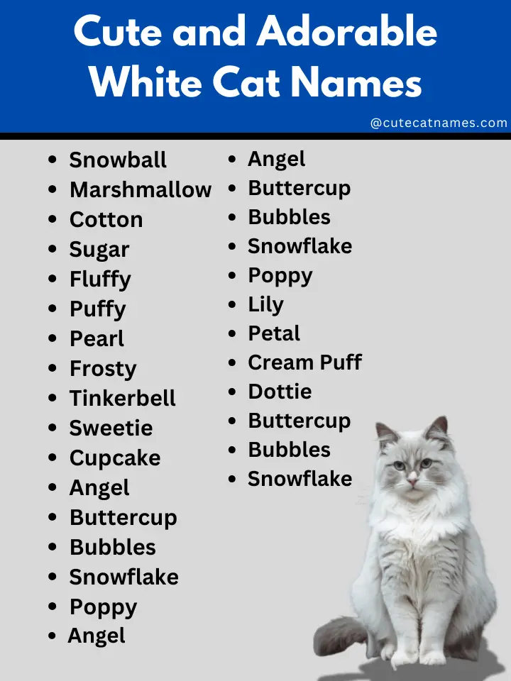 Cute and Adorable White Cat Names