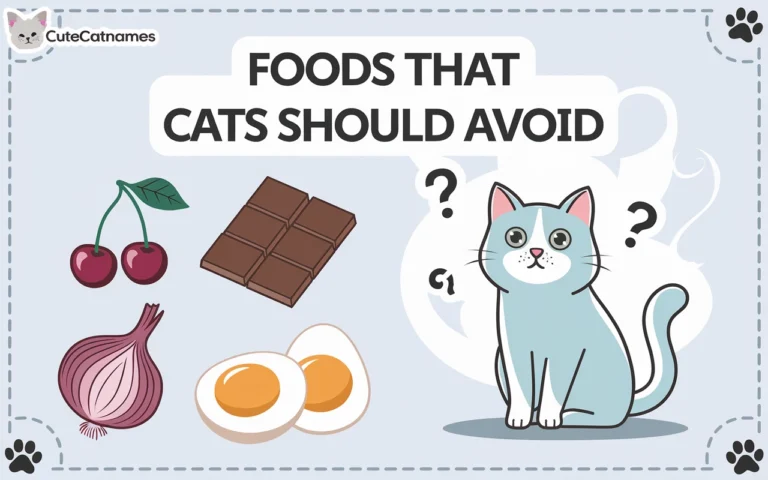 Foods That Can Harm or Poison Your Cat