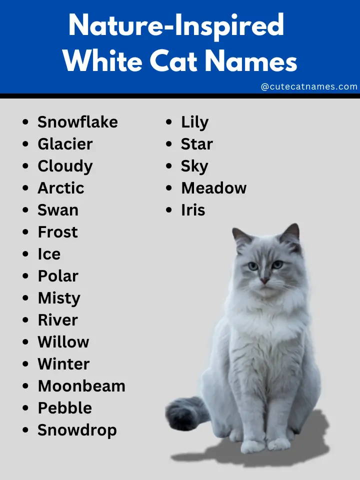 Nature Inspired White Cat Names