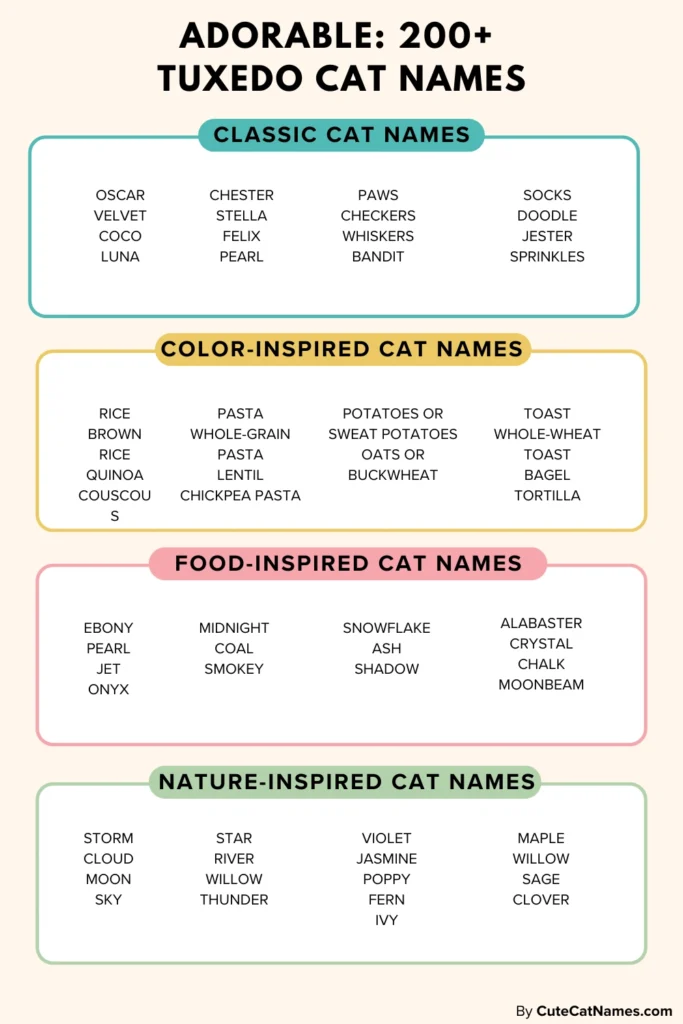 Tuxedo Cat Names 1