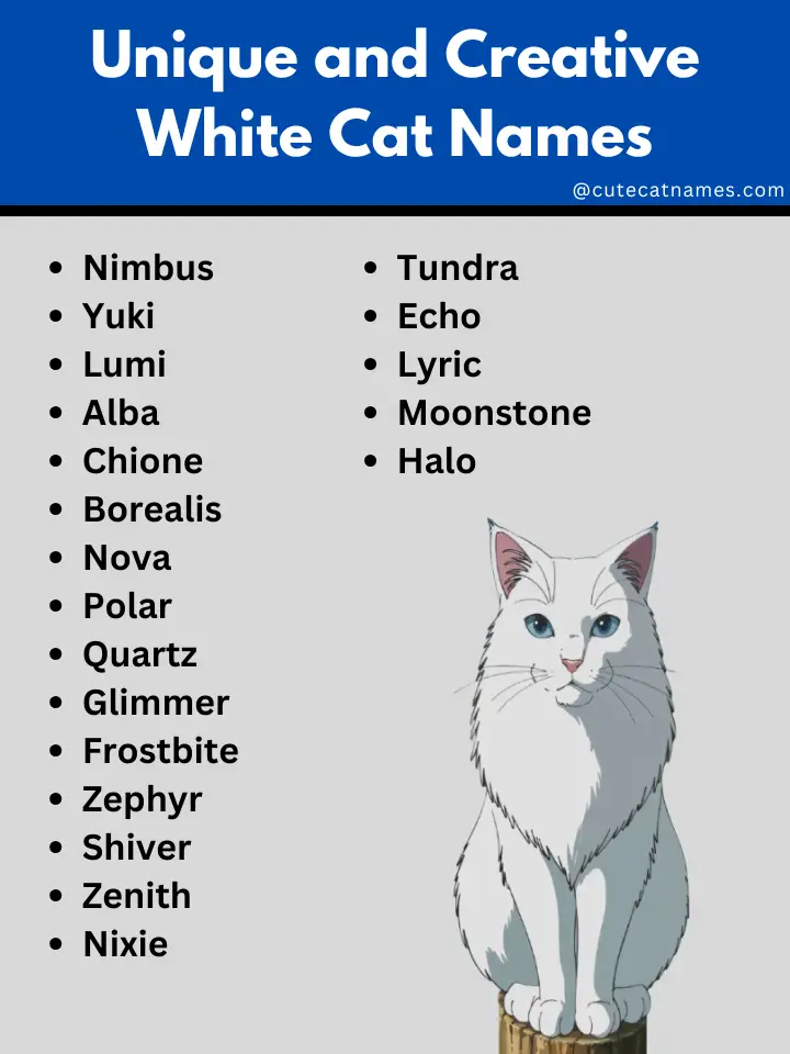 Unique and Creative White Cat Names