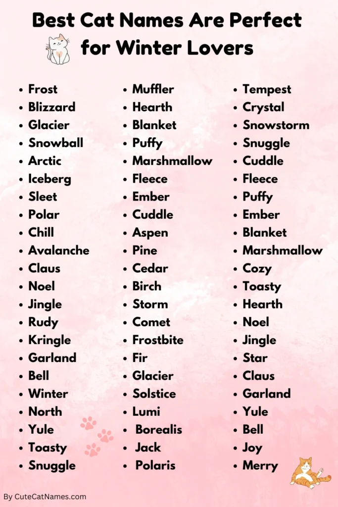 Cat Names Are Perfect for Winter