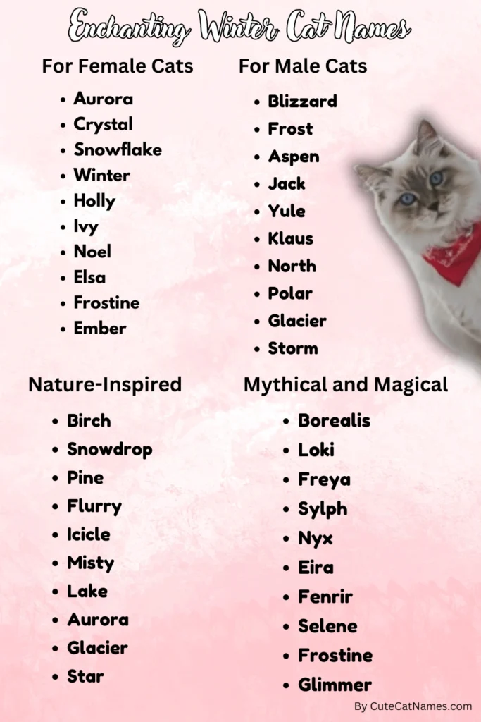 Winter Cat Names