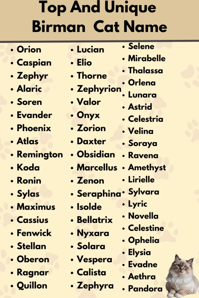 Top And Unique 
Birman  Cat Name