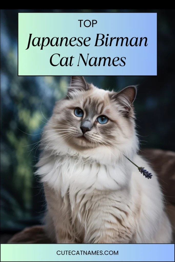 Japanese Birman Cat Names