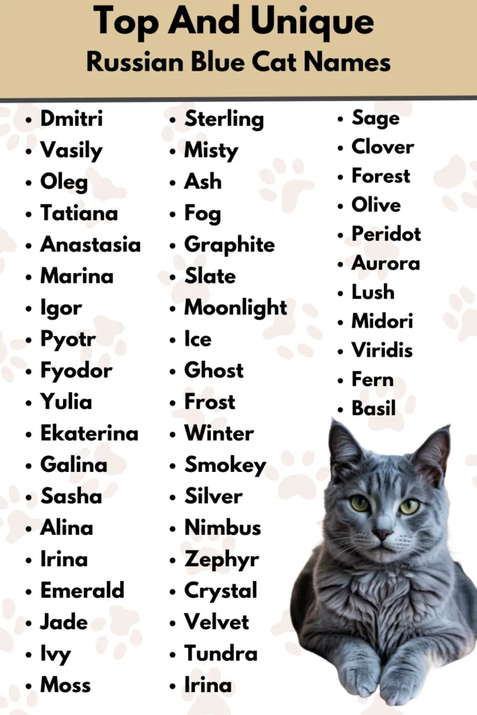 Top And Unique
Russian Blue Cat Names
