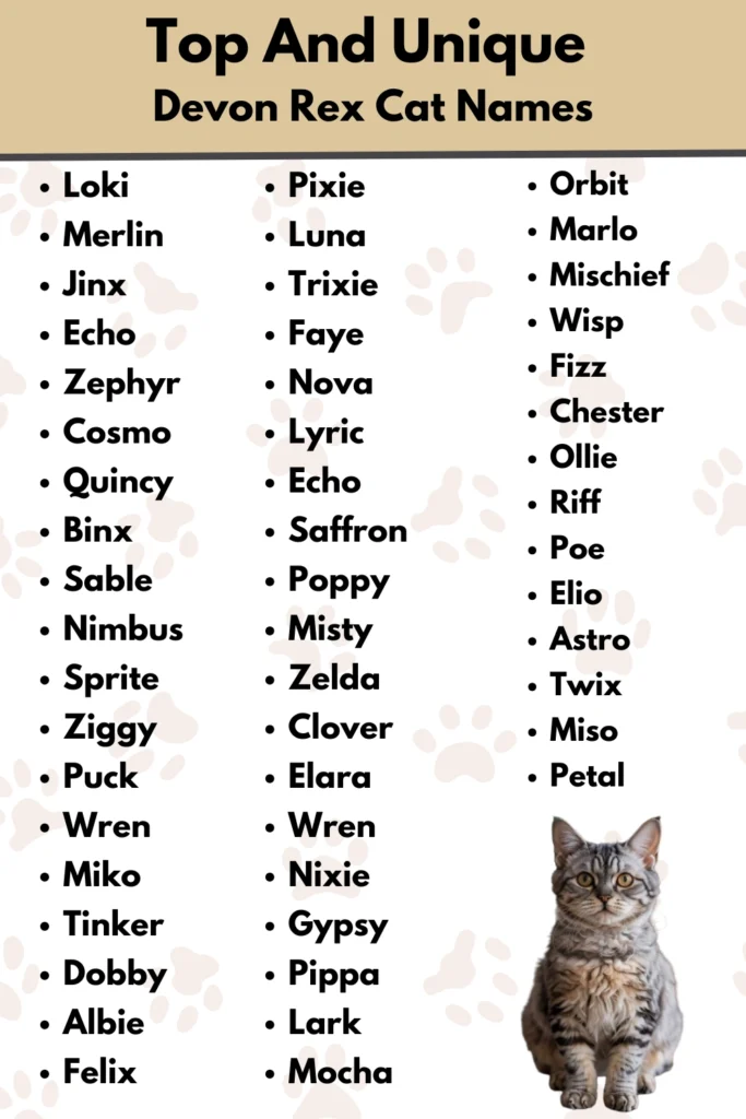 Top And Unique
Devon Rex Cat Names