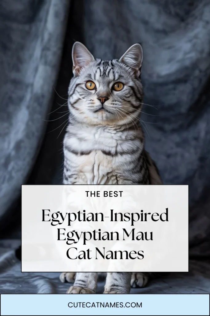 Egyptian-Inspired Names for Egyptian Mau Cats