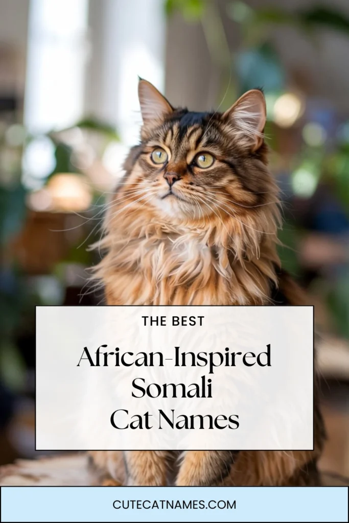 African-Inspired Names for Somali Cats