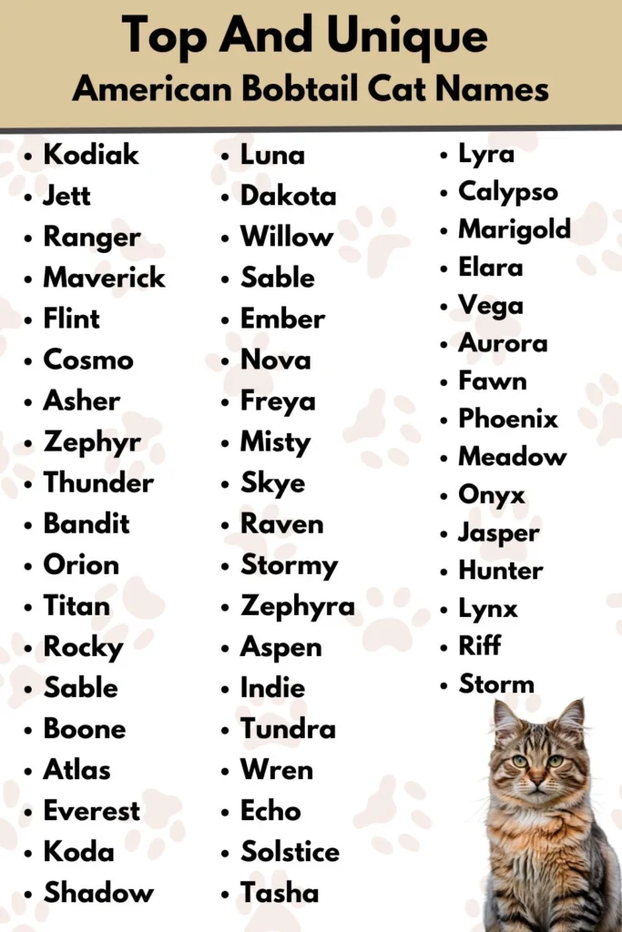 Top And Unique
American Bobtail Cat Names