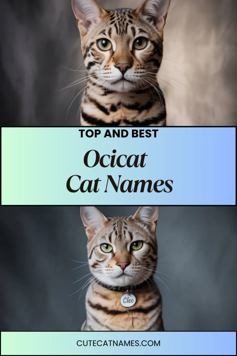 Ocicat Cat Names
