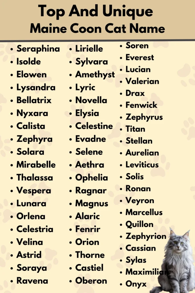 Top And Unique
Maine Coon Cat Name