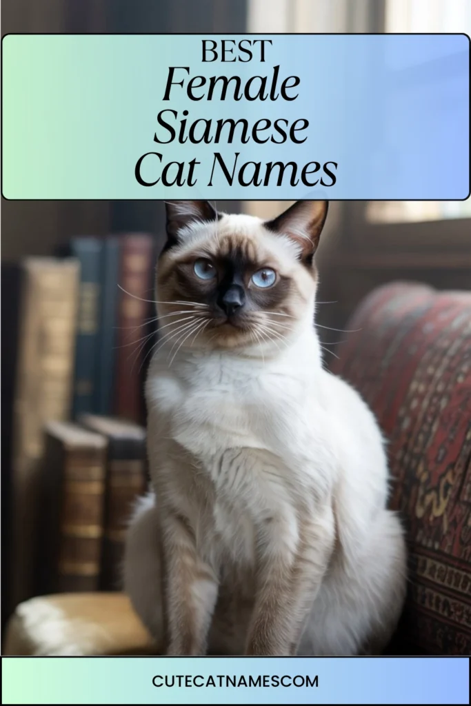 Female Siamese Cat Names