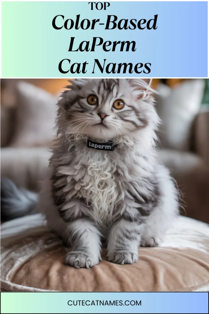 Color-Themed LaPerm Cat Names