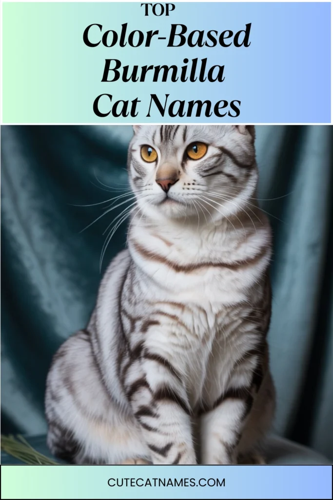 Color-Based Burmilla Cat Names