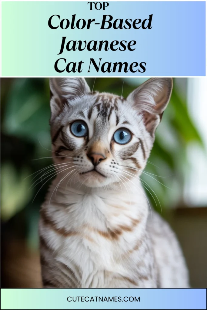 Color-Themed Javanese Cat Names