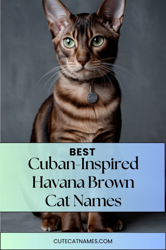 Cuban-Inspired Names (Havana Tribute)