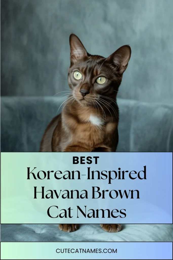Korean-Inspired Names