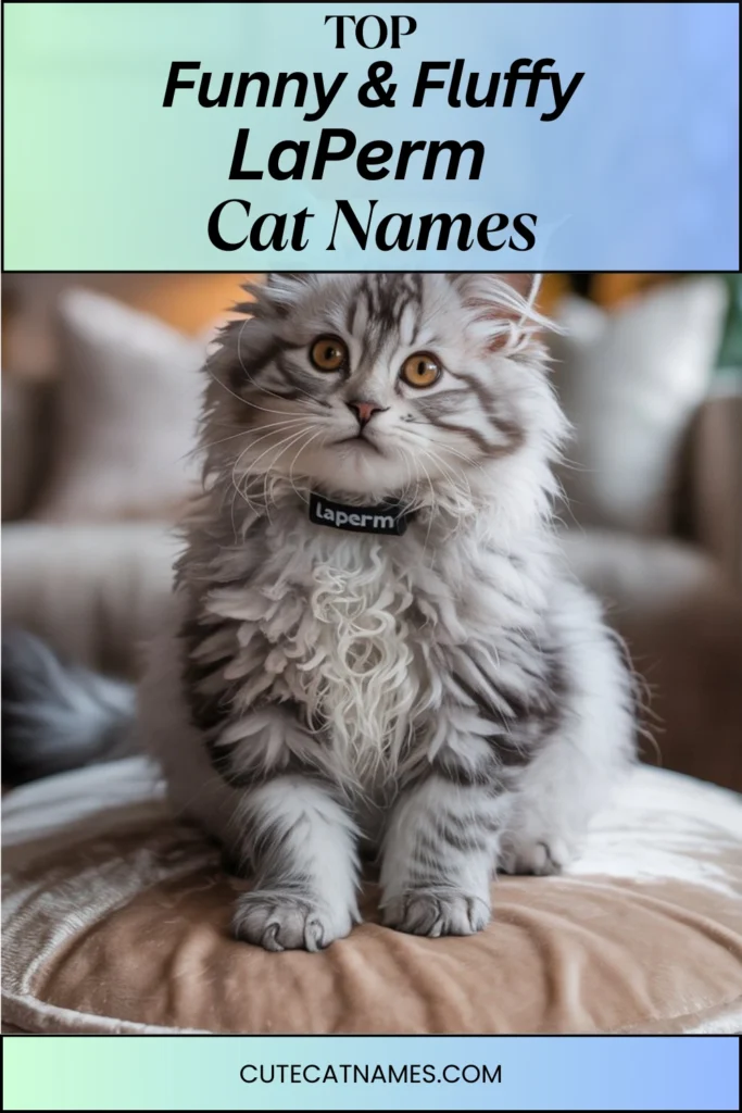 Funny & Fluffy LaPerm Names