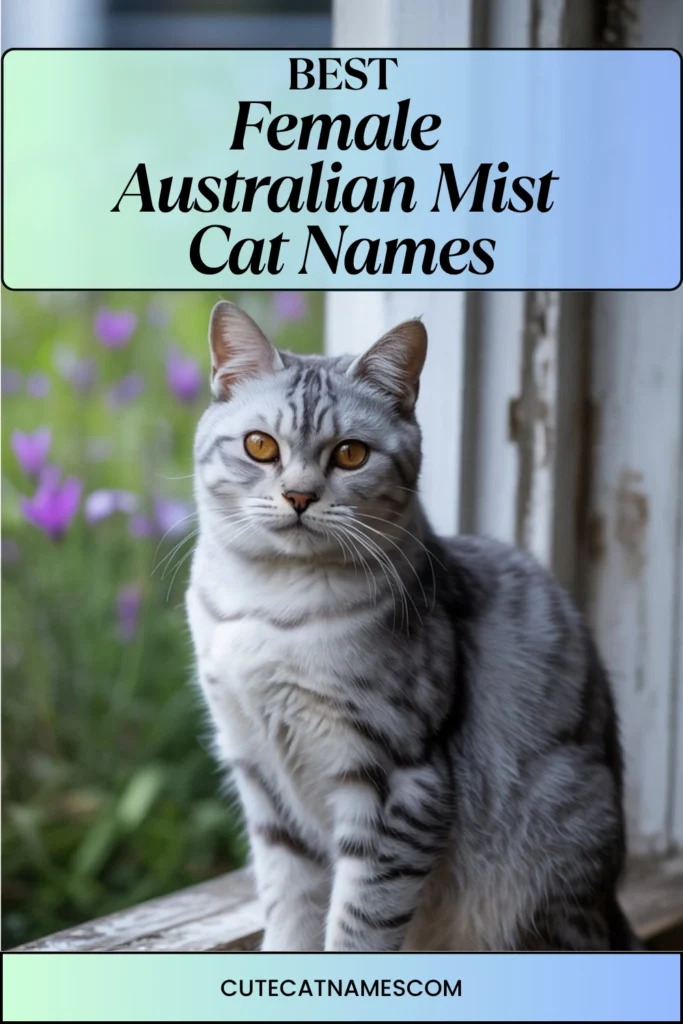 Female Australian Mist Cat Names