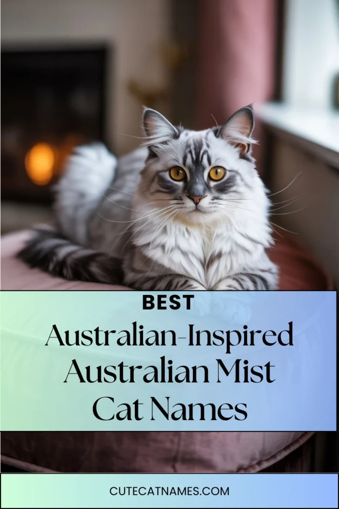 Australian-Inspired Names for Australian Mist Cats