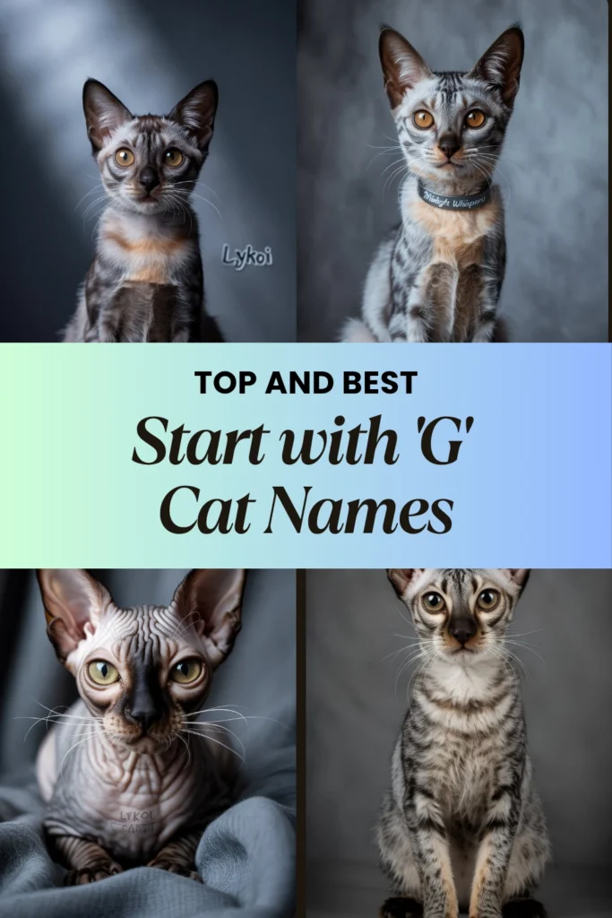 Cat Names That Start with 'G'