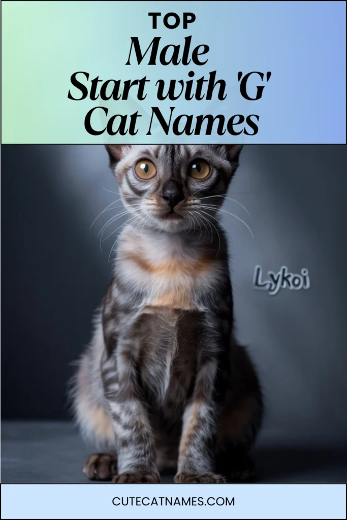 Male Cat Names That Start with 'G'