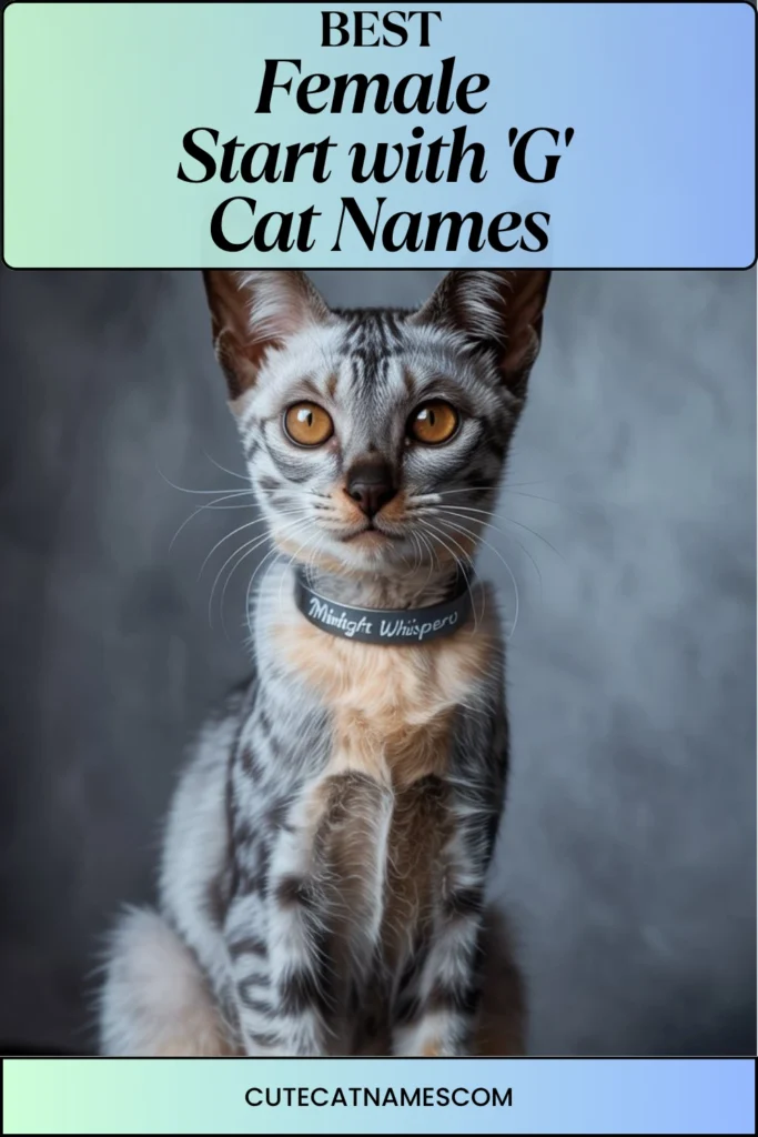 Female Cat Names That Start with 'G'