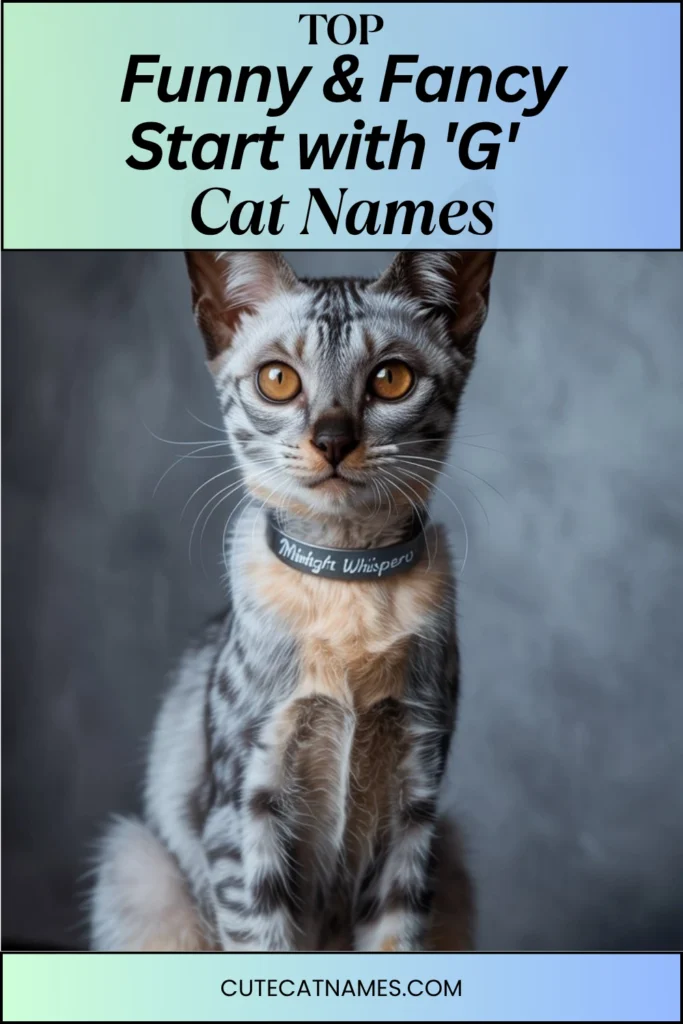 Funny & Fancy 'G' Cat Names