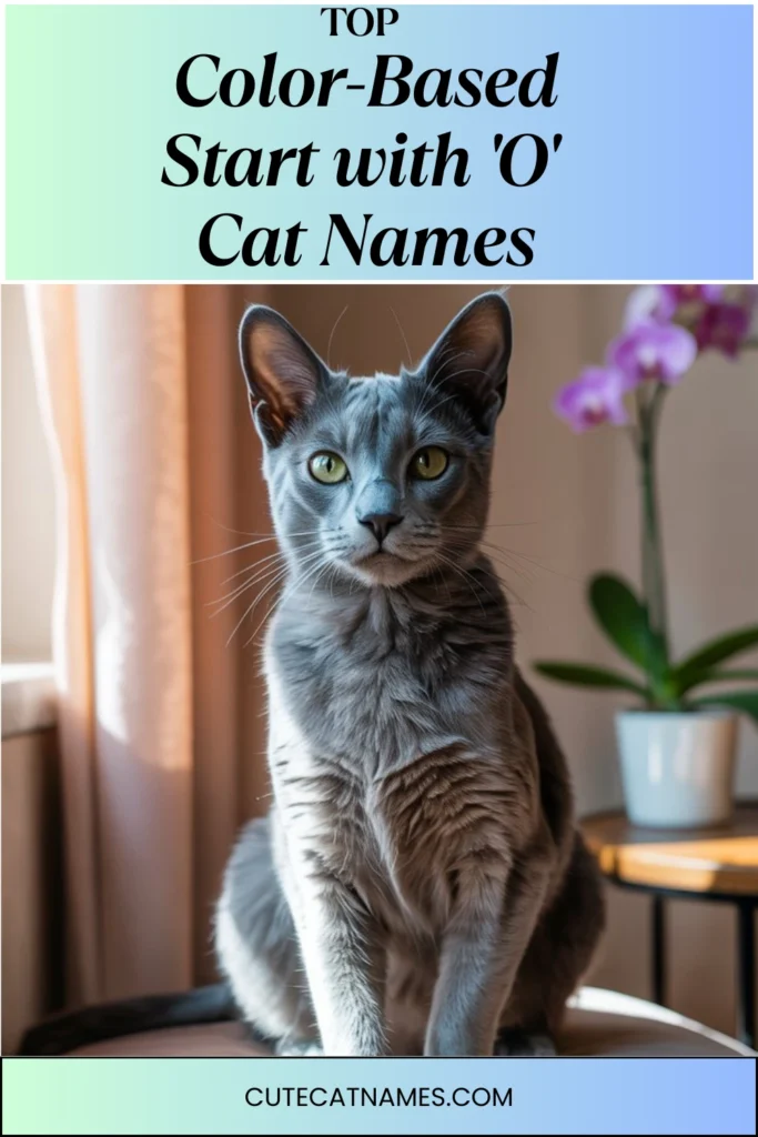 Color-Themed 'O' Cat Names