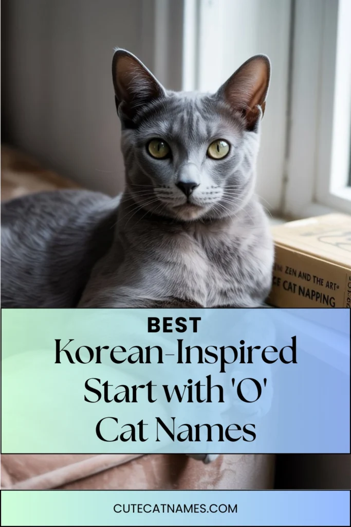 Korean-Inspired 'O' Cat Names